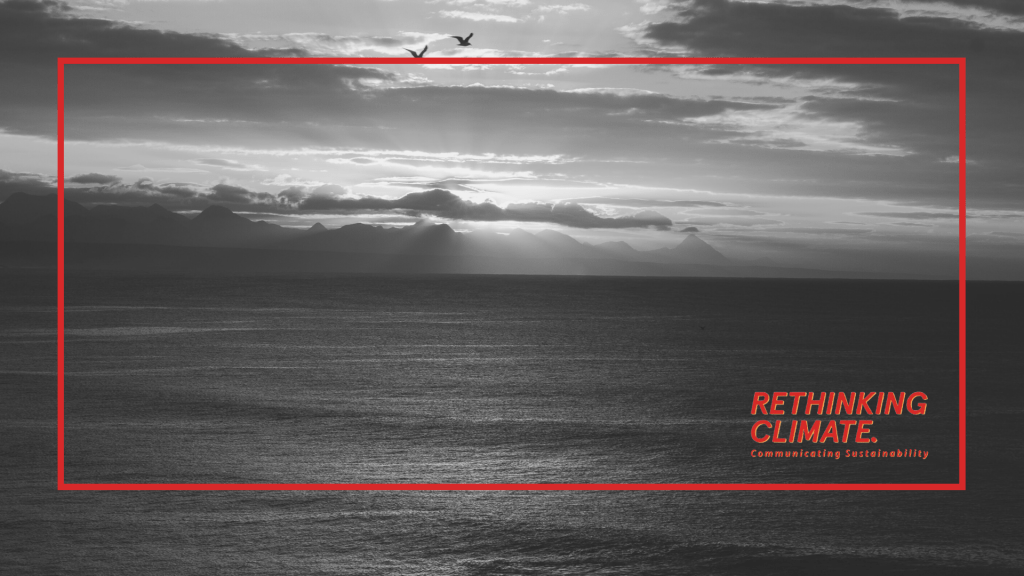 Introducing The Project