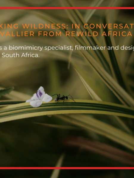 [6] Seeking Wildness: In Conversation With Sam Chevallier From ReWild&nbsp;Africa