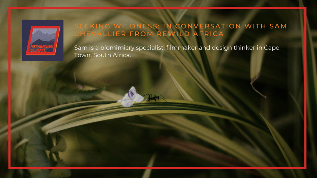 [6] Seeking Wildness: In Conversation With Sam Chevallier From ReWild&nbsp;Africa