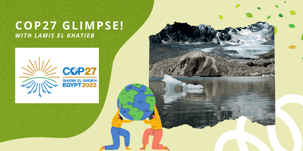 COP27 Glimpse!