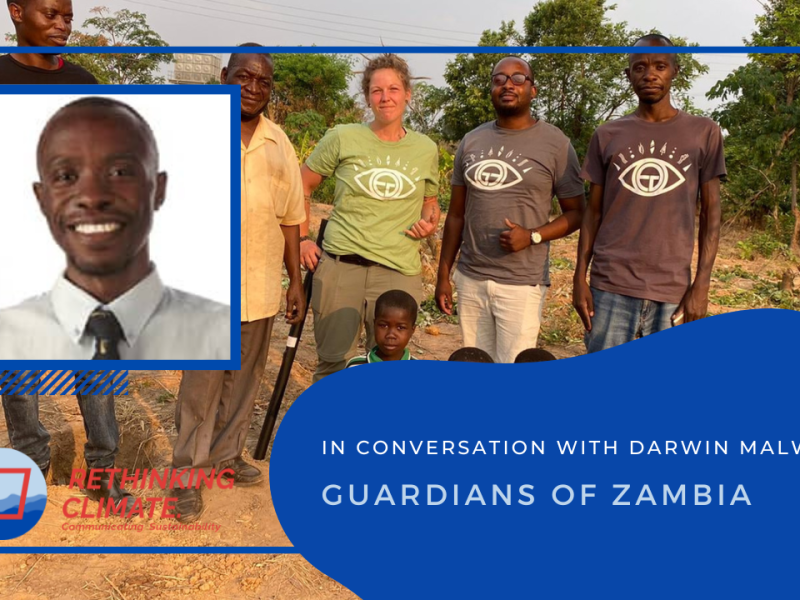 [24] Guardians Of Zambia: In Conversation With Darwin&nbsp;Malwele